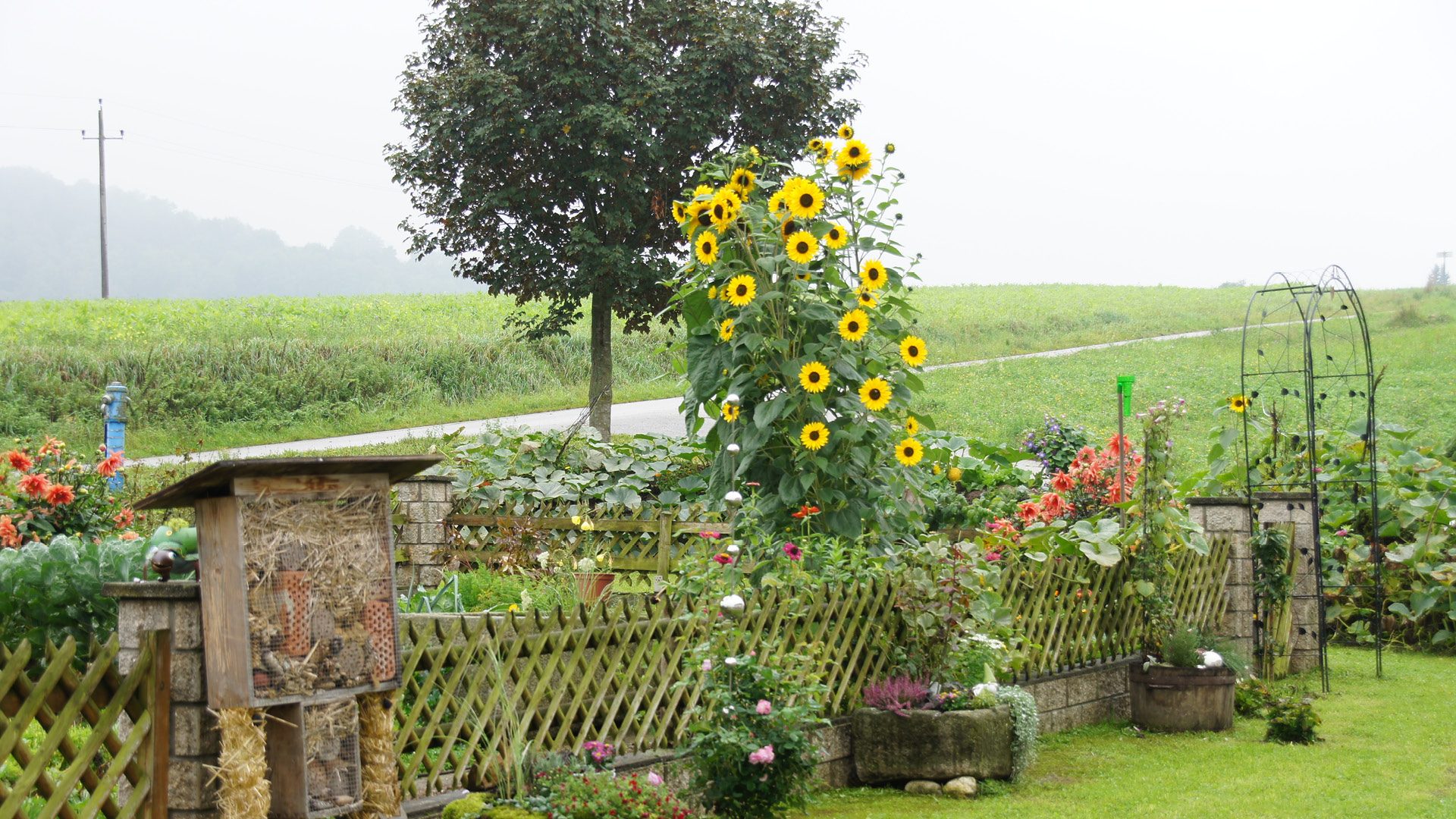 Bauerngarten Traditionell Und Bodenstandig Maschinenring