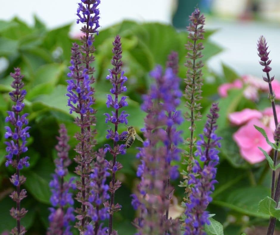 Großen Garten gestalten So entsteht ein Paradies für die